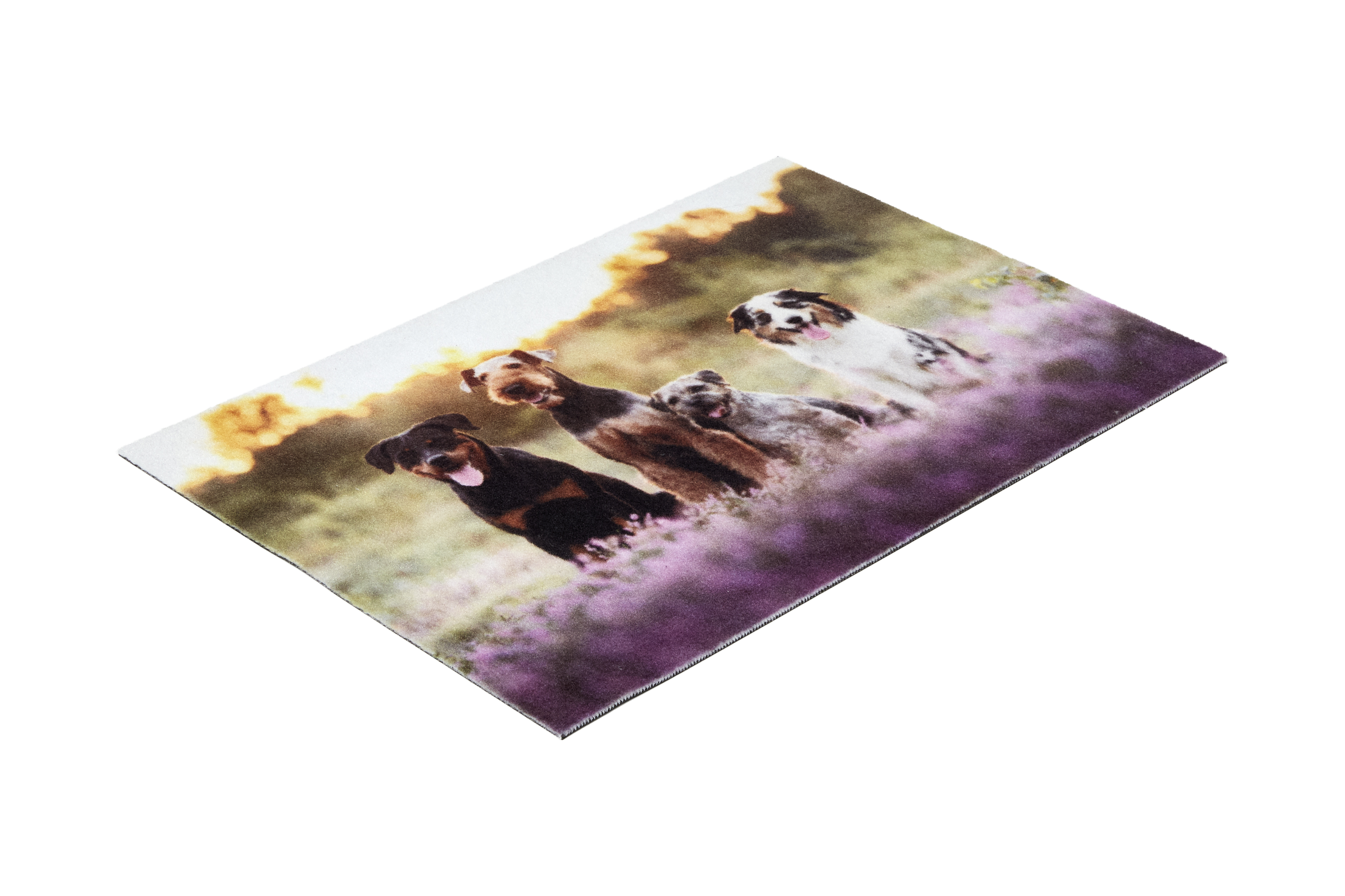 Astra Deco Print ca. 40x60cm D.107 C.999 Hunde