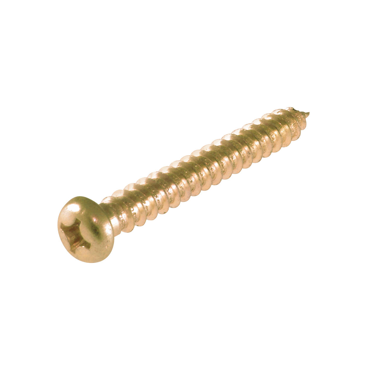 Suki Flechtzaunschraube PZ2