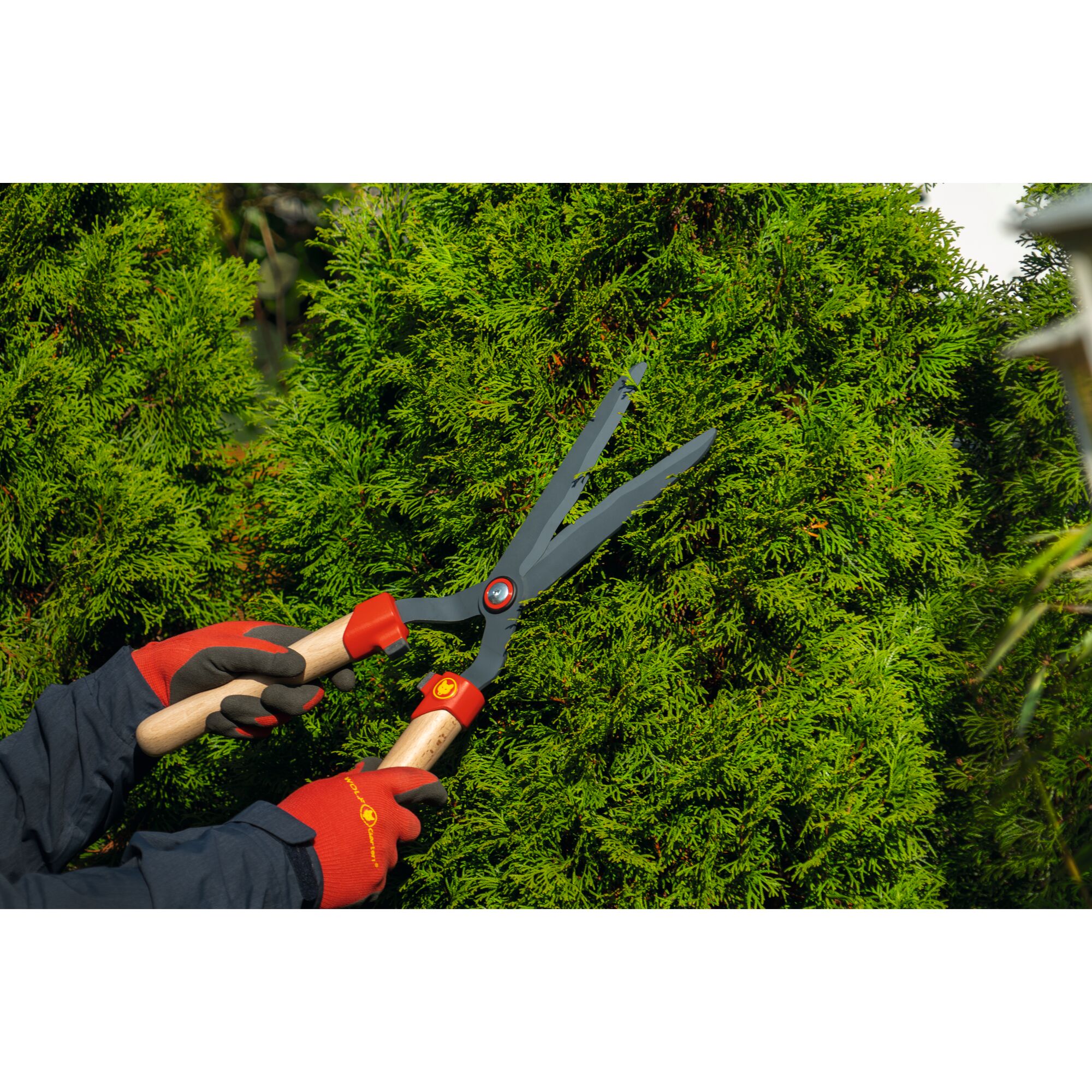 Wolf-Garten Heckenschere HS-WW Wolf-Garten Heckenschere HS-WW