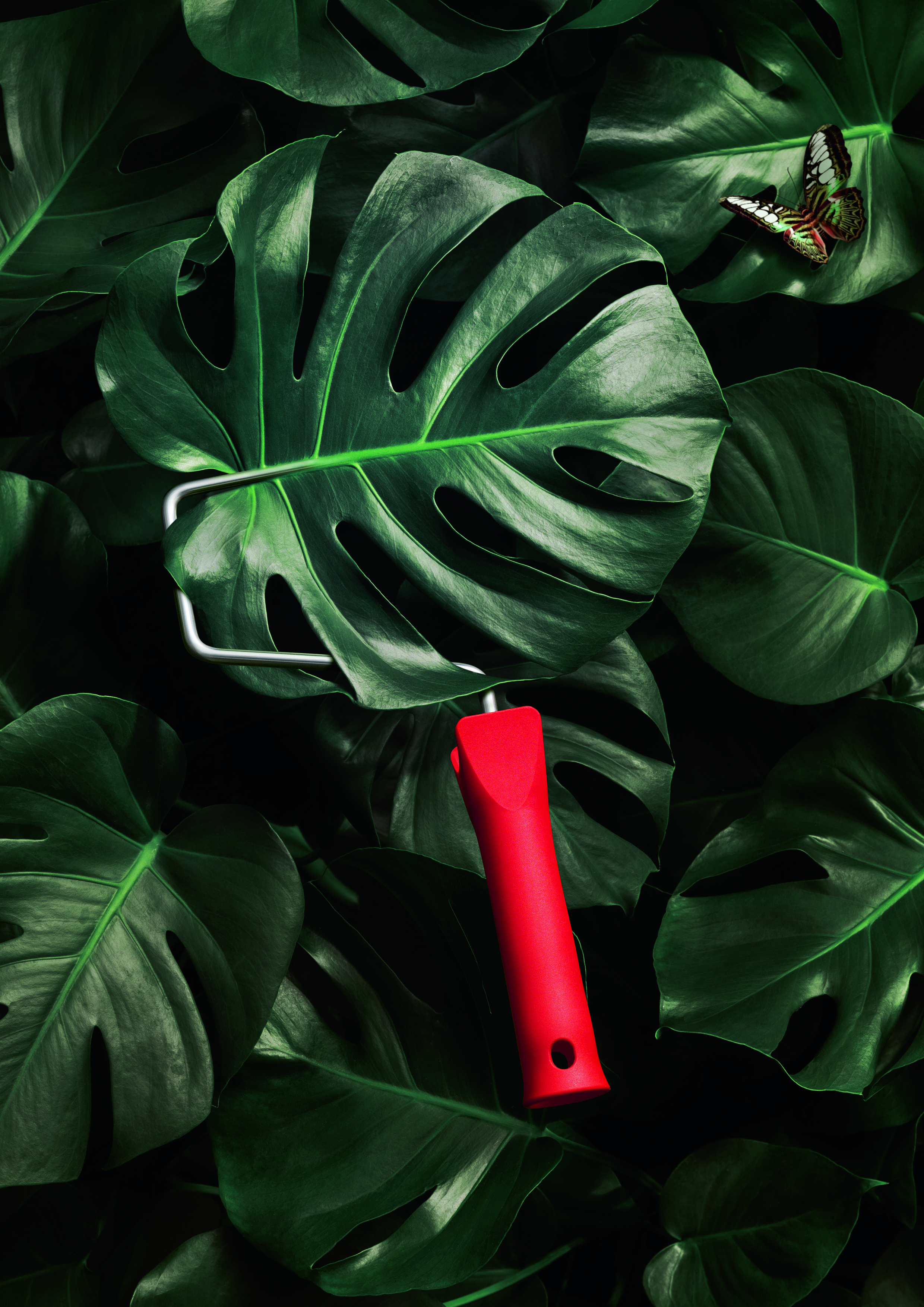 SW_KV-Jungle-A4 Schöner Wohnen Trend Wandfarbe, matt Jungle