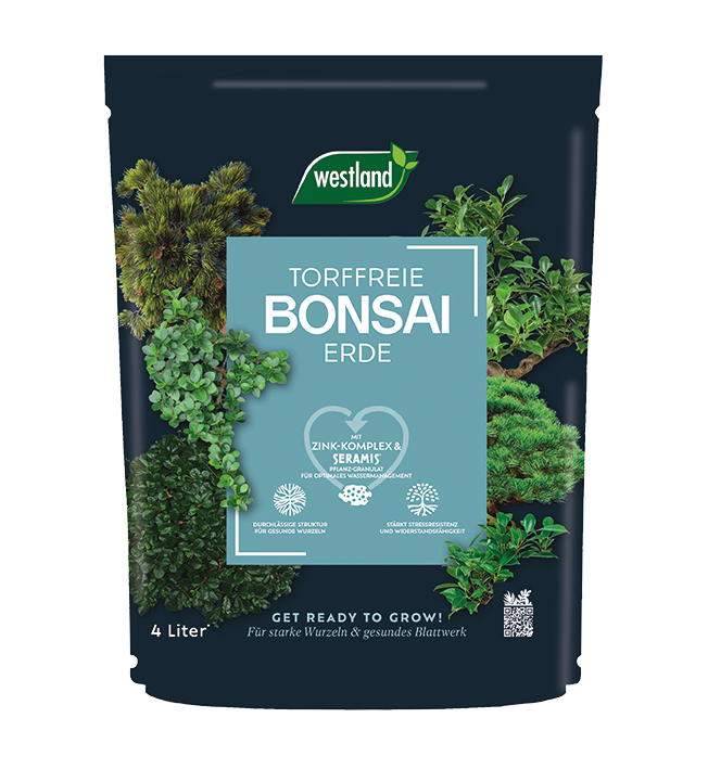 Westland Bonsai Erde, 4 l