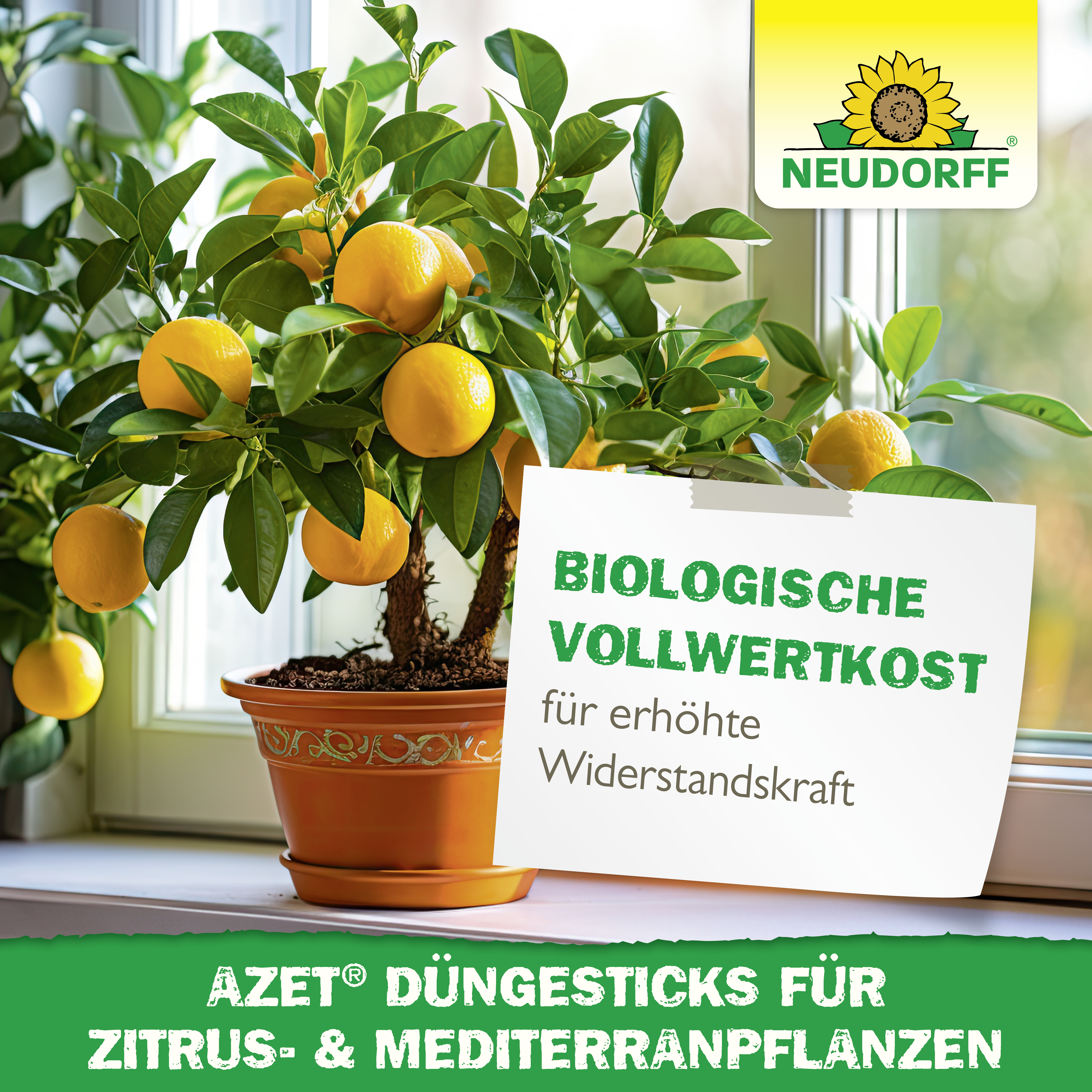 Neudorff Azet DüngeSticks für Zitrus- und Mediterranpflanzen, 40 Stück