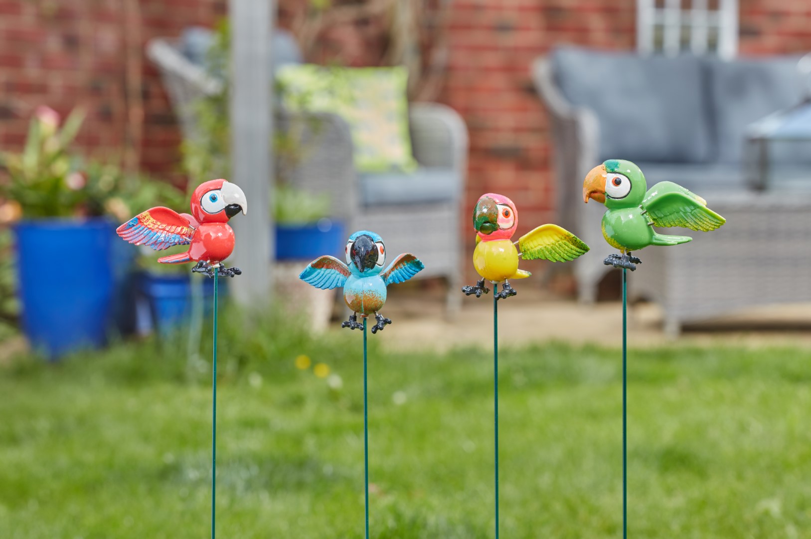 Smart Garden Papagaien Bande