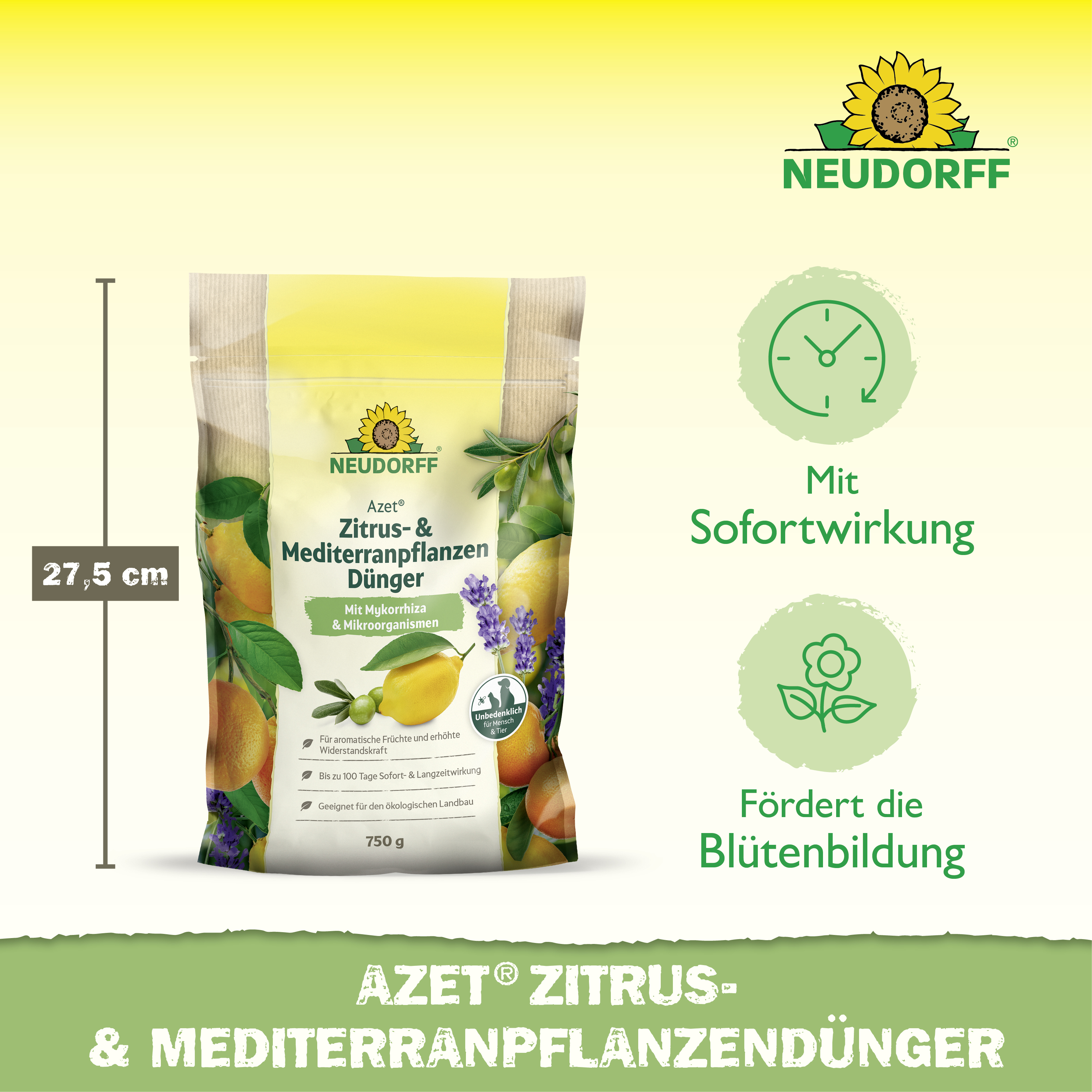 Neudorff Azet Zitrus- & MediterranpflanzenDünger, 750 g