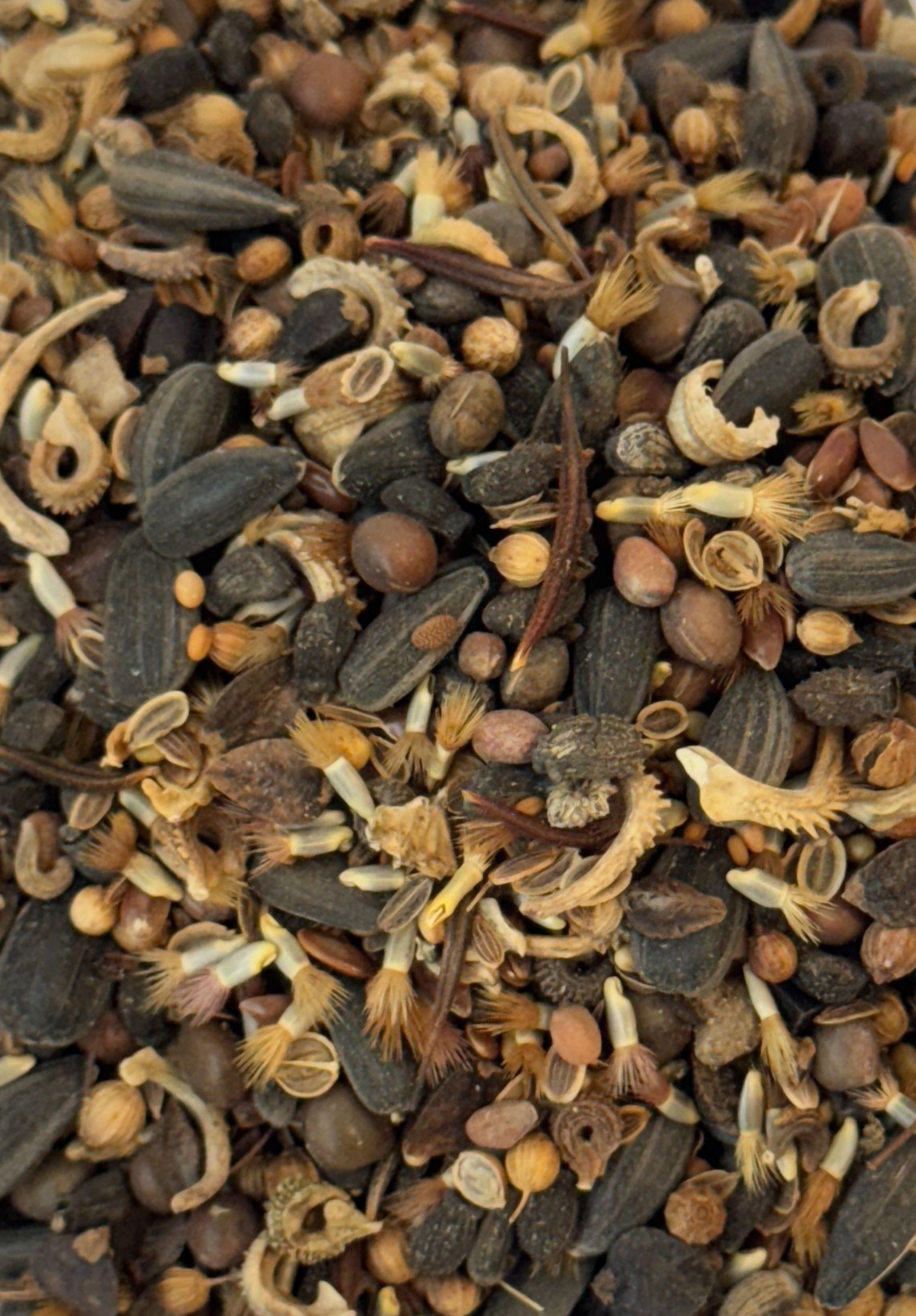 Rasetta Blühendes Land (Blühmischung), 0,75 kg