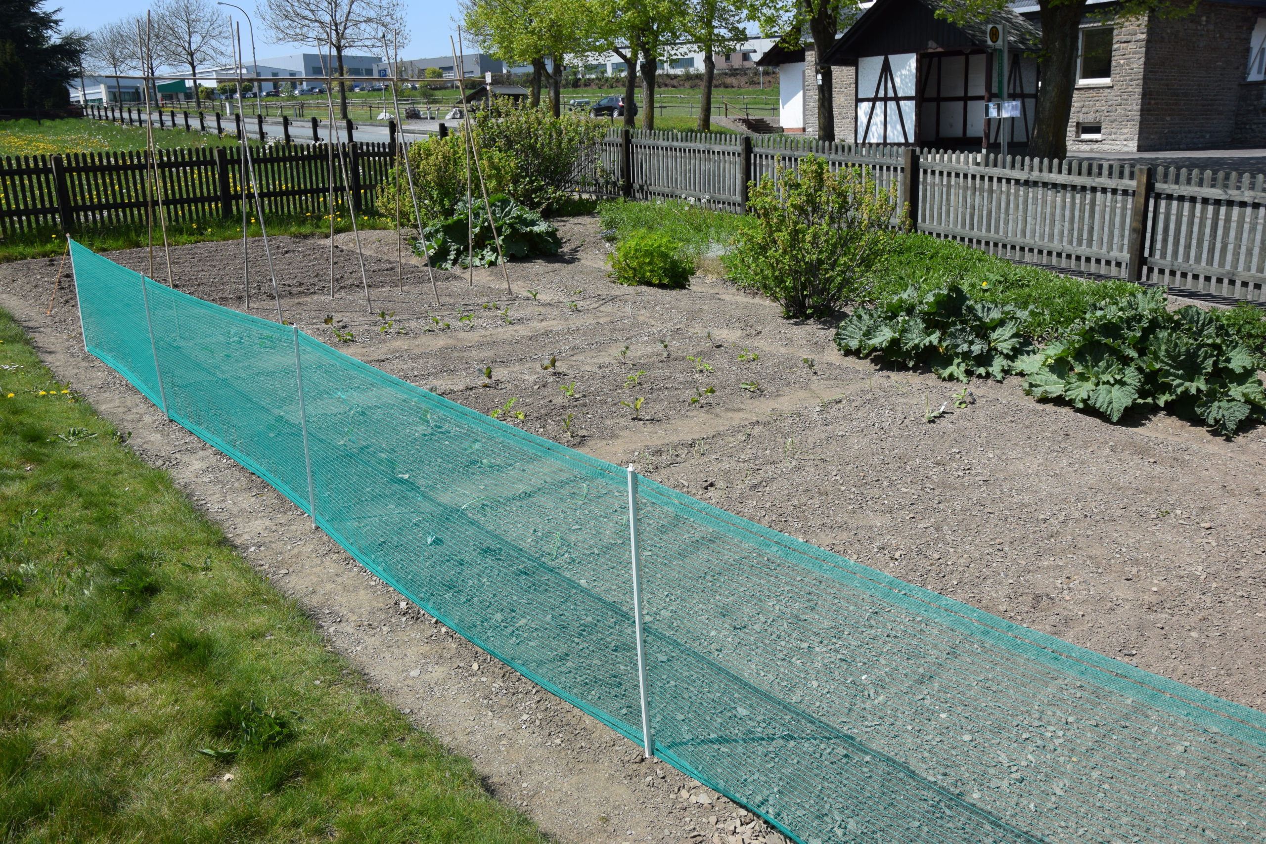 Kerbl Universalzaun, 80 cm, 20 m, grün