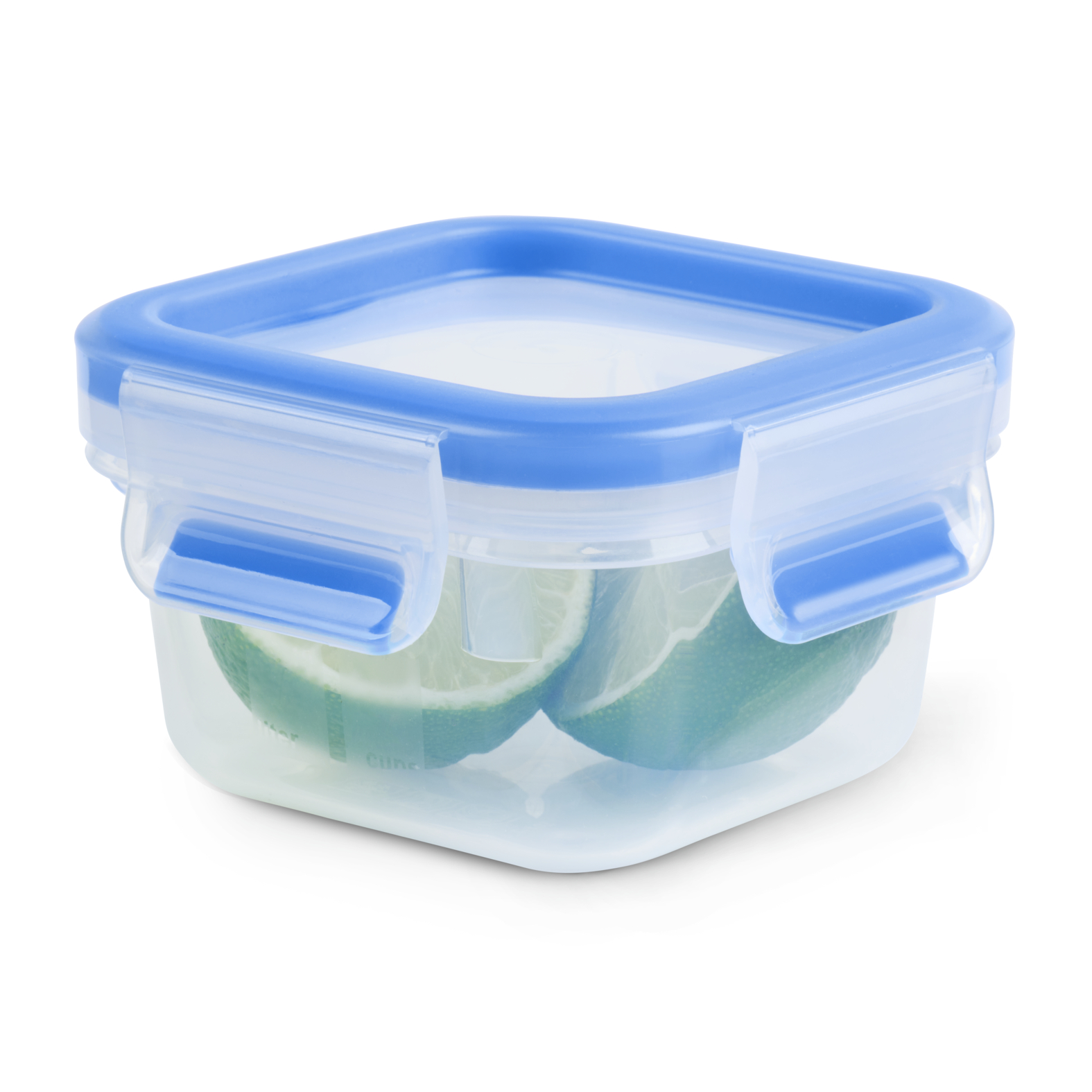 EMSA Clip & Close Frischhaltedose 0,20 L, quadratisch EMSA Clip & Close Frischhaltedose 0,20 L, quadratisch