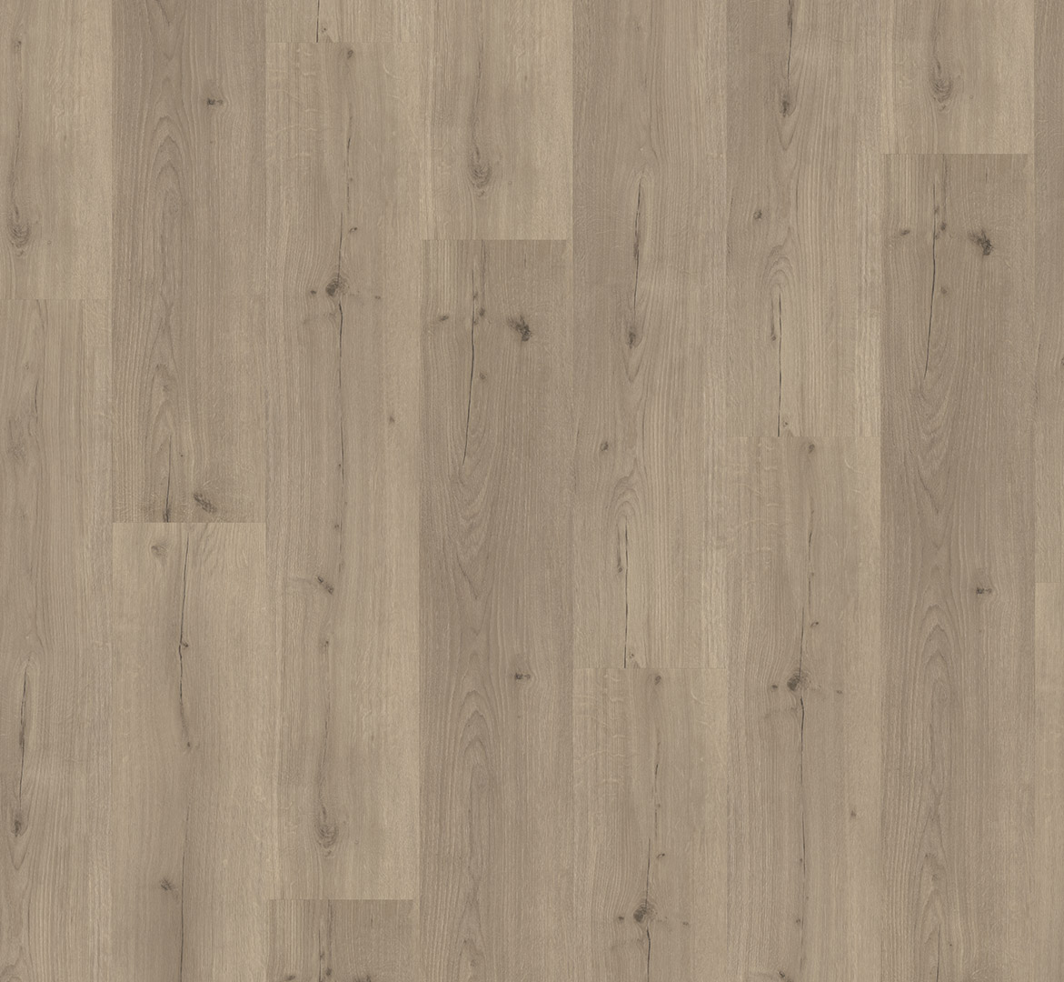 Parador Designboden Vinyl Basic 30 Eiche Infinity Grau Parador Designboden Vinyl Basic 30 Eiche Infinity Grau