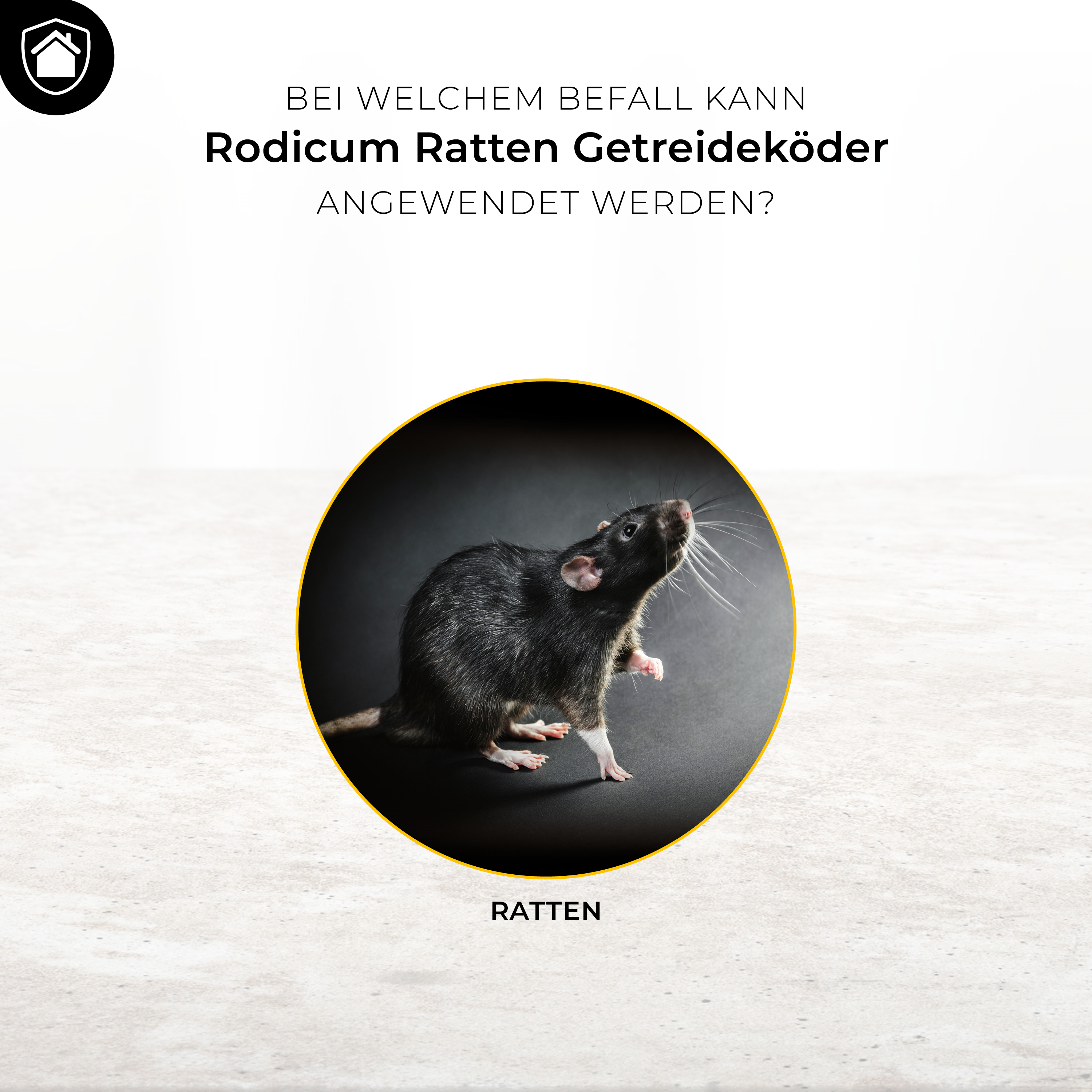 419807-1 Protect Home Rodicum Ratten Getreideköder, 400 g