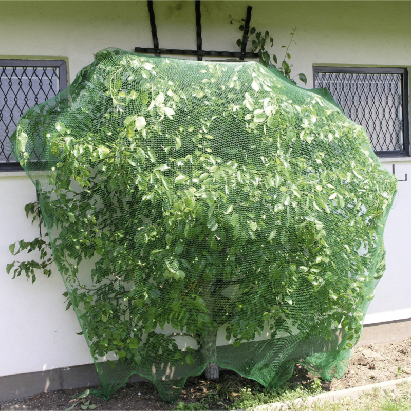 Windhager Vogelschutz-Netz Rational, 10 x 2 m