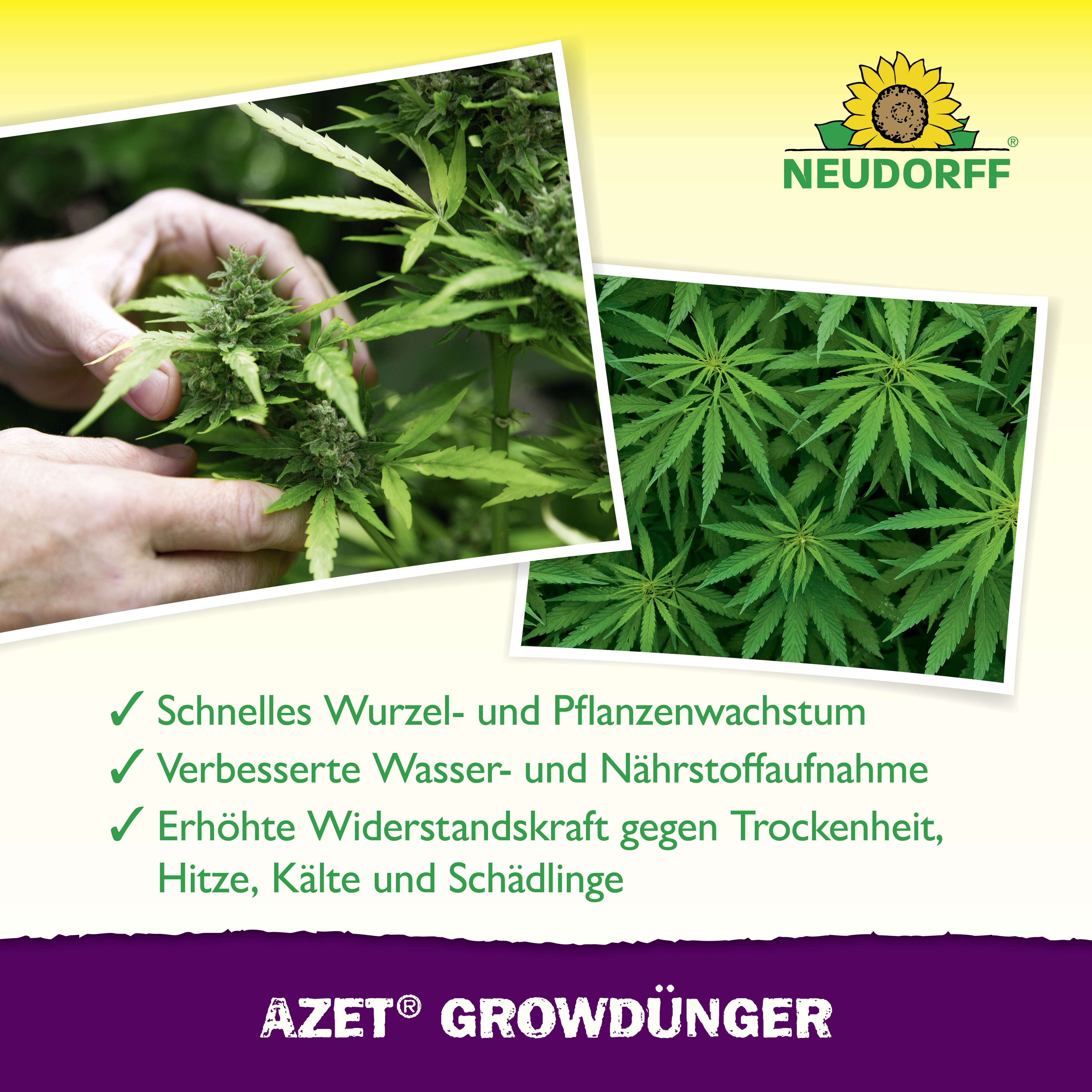 Neudorff Azet GrowDünger, 250 ml