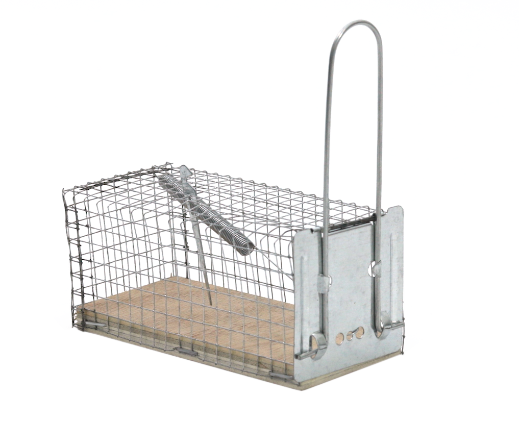 3664715049654_ProtectHome_Lebendfalle-Maus-Drahtk-fig_product Lebendfalle Maus Drahtkäfig 1 Stück