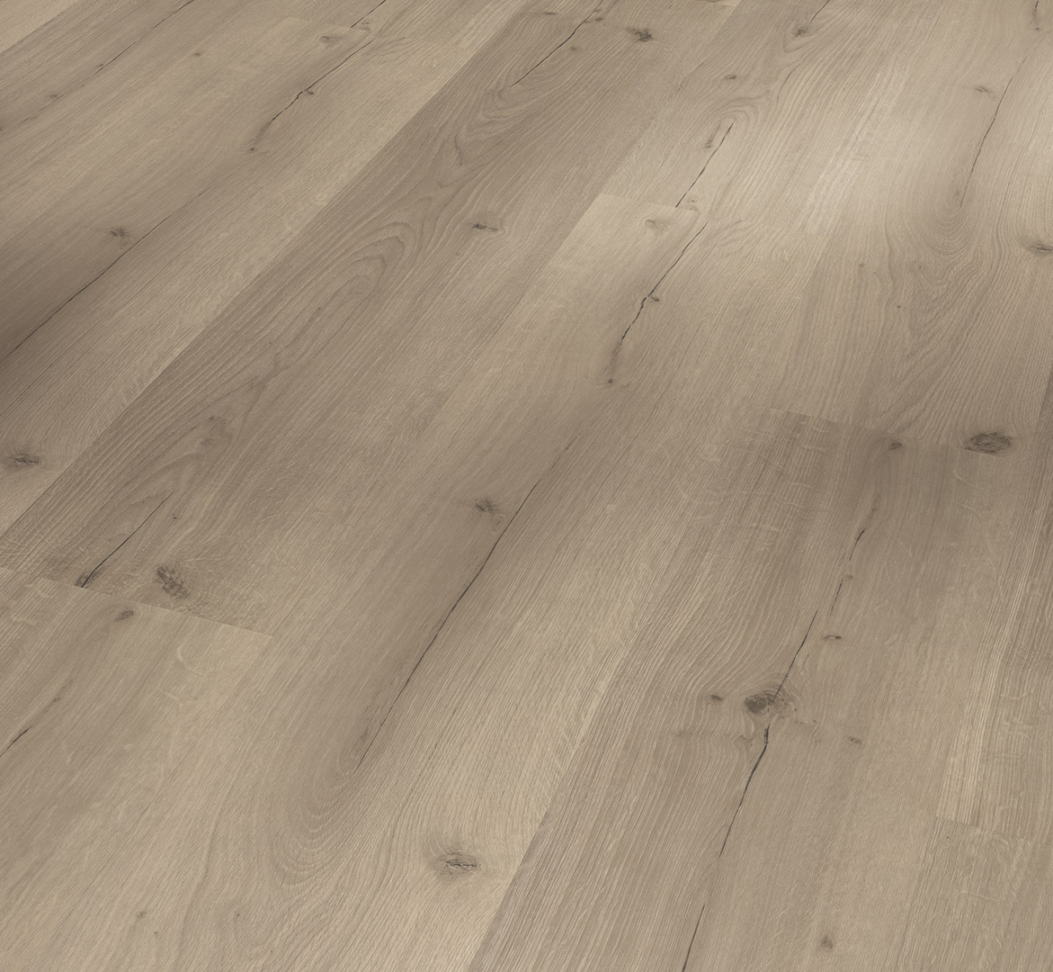 Parador Designboden Vinyl Basic 30 Eiche Infinity Grau Parador Designboden Vinyl Basic 30 Eiche Infinity Grau