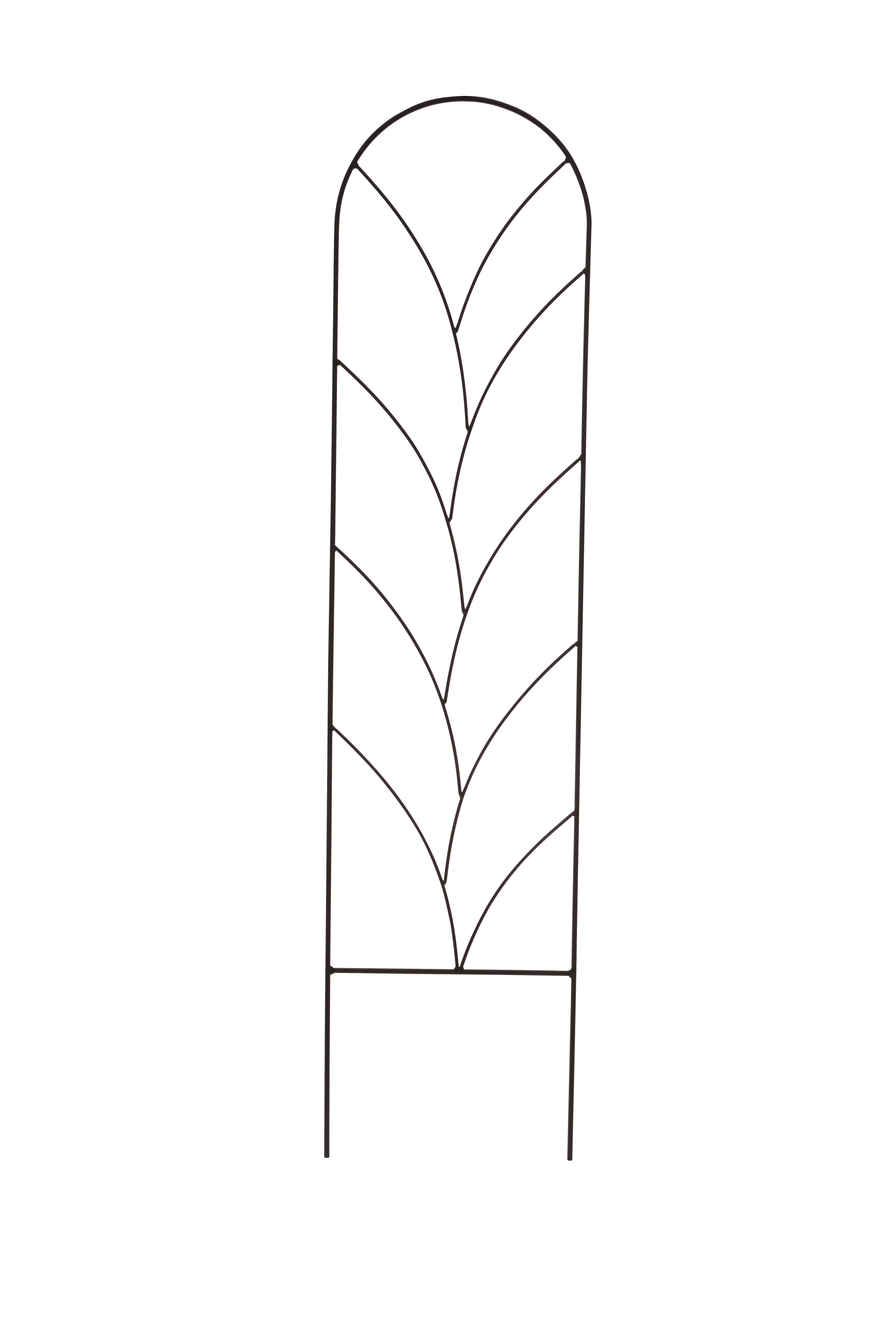 Pink Garten Spalier Ranke M, schwarz, PE coatet