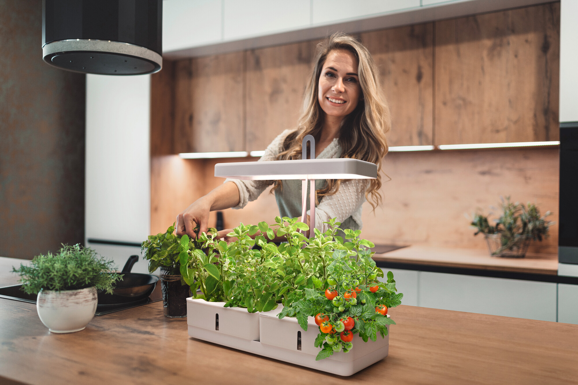 Ledvance Indoor Garden Kit 450 20W, weiß Ledvance Indoor Garden Kit 450 20W, weiß