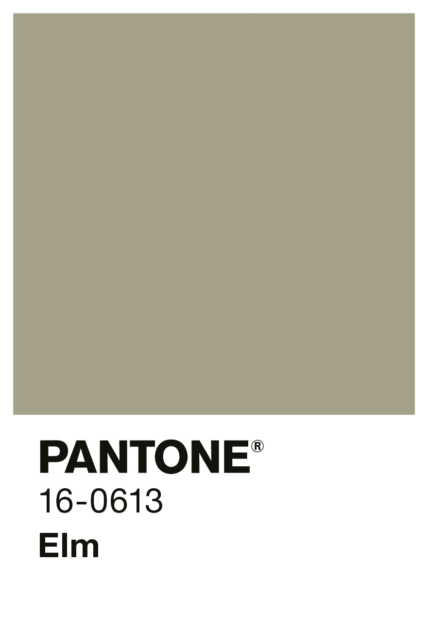 Alpina PANTONE® Elm, 2,5 Liter