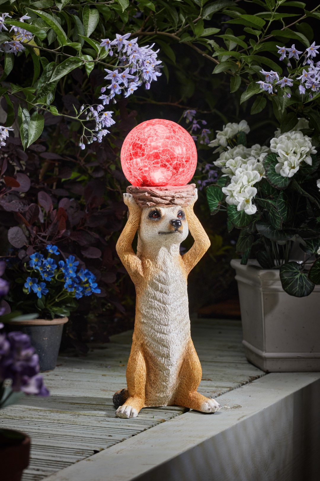 Smart Garden Mystik Meerkat