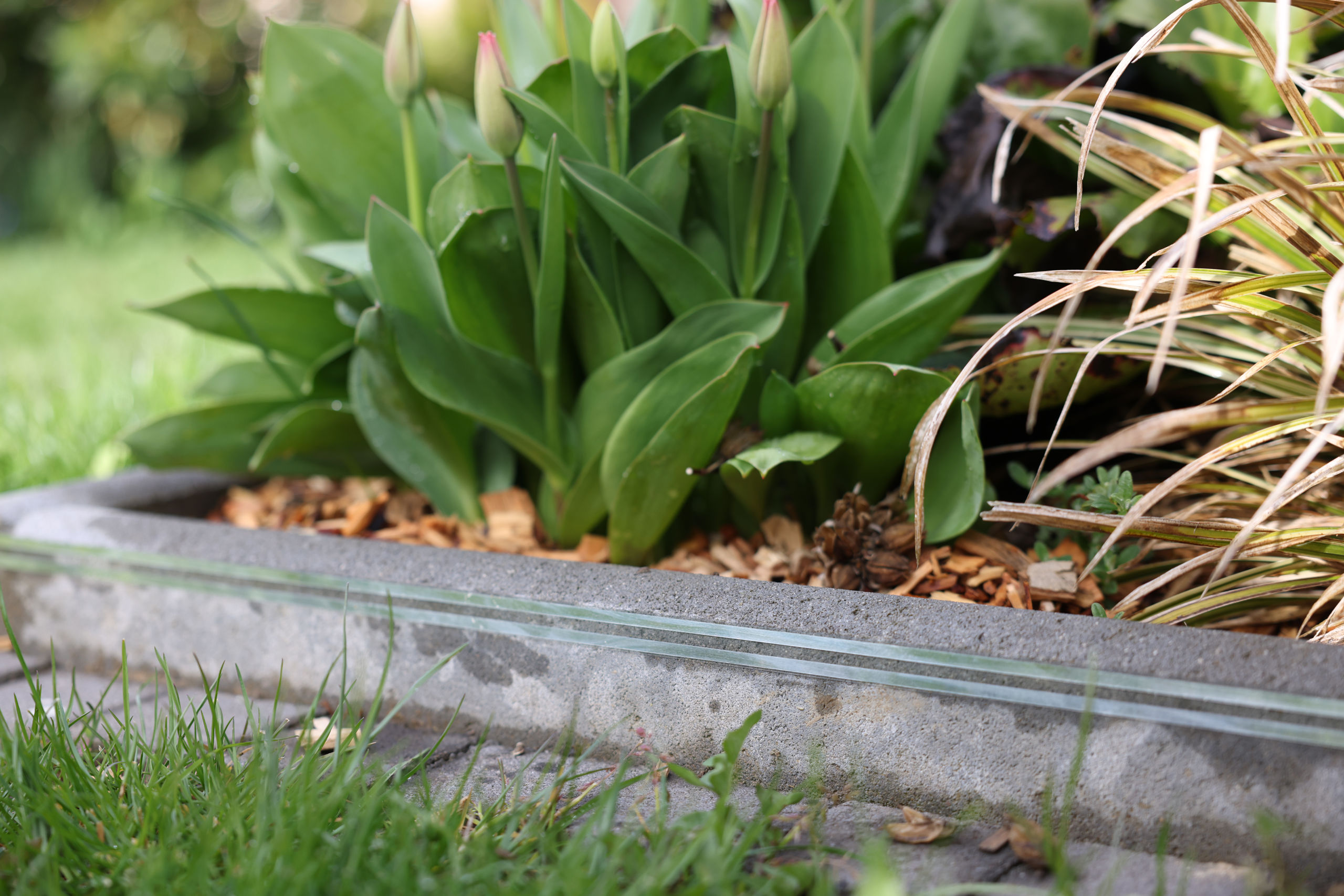 Kerbl SnailStop Zaunband 10 m, elektrischer Schneckenzaun