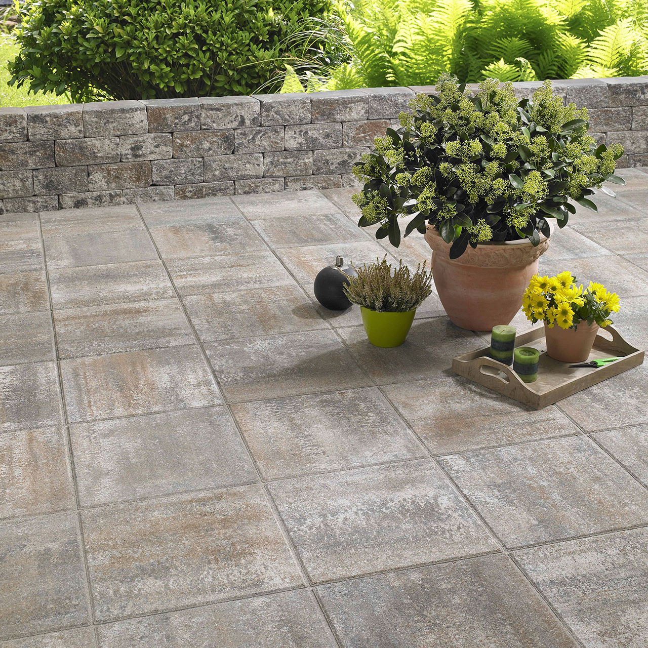 674279_Szene1 Kann Platte Bologna