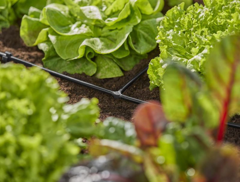 Gardena Micro-Drip-System T-Stück 4,6 mm (3/16") - Inhalt: 10 Stück