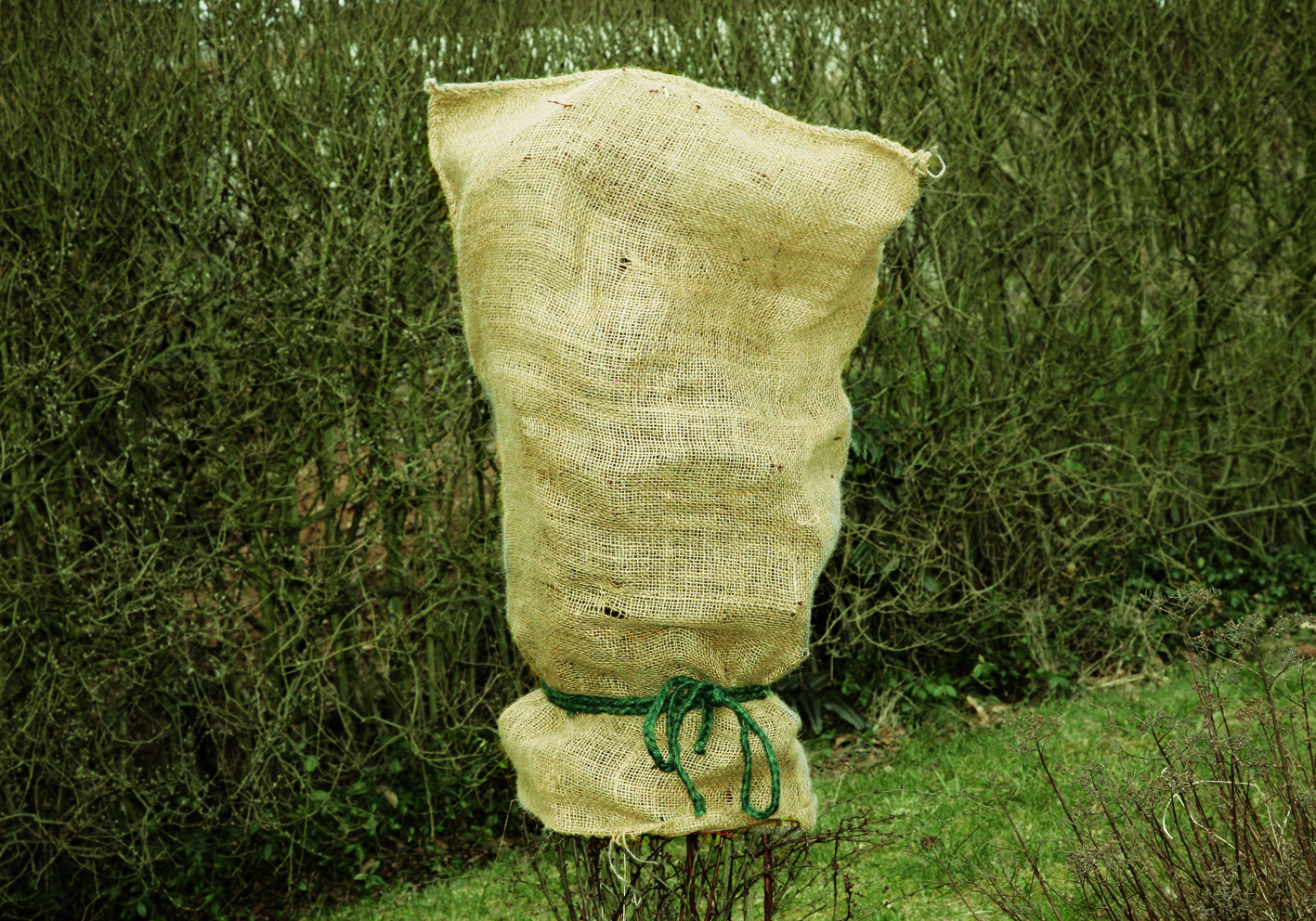Floraworld Gartensack jute, natur, 60 x 105 cm Floraworld Gartensack jute, natur, 60 x 105 cm
