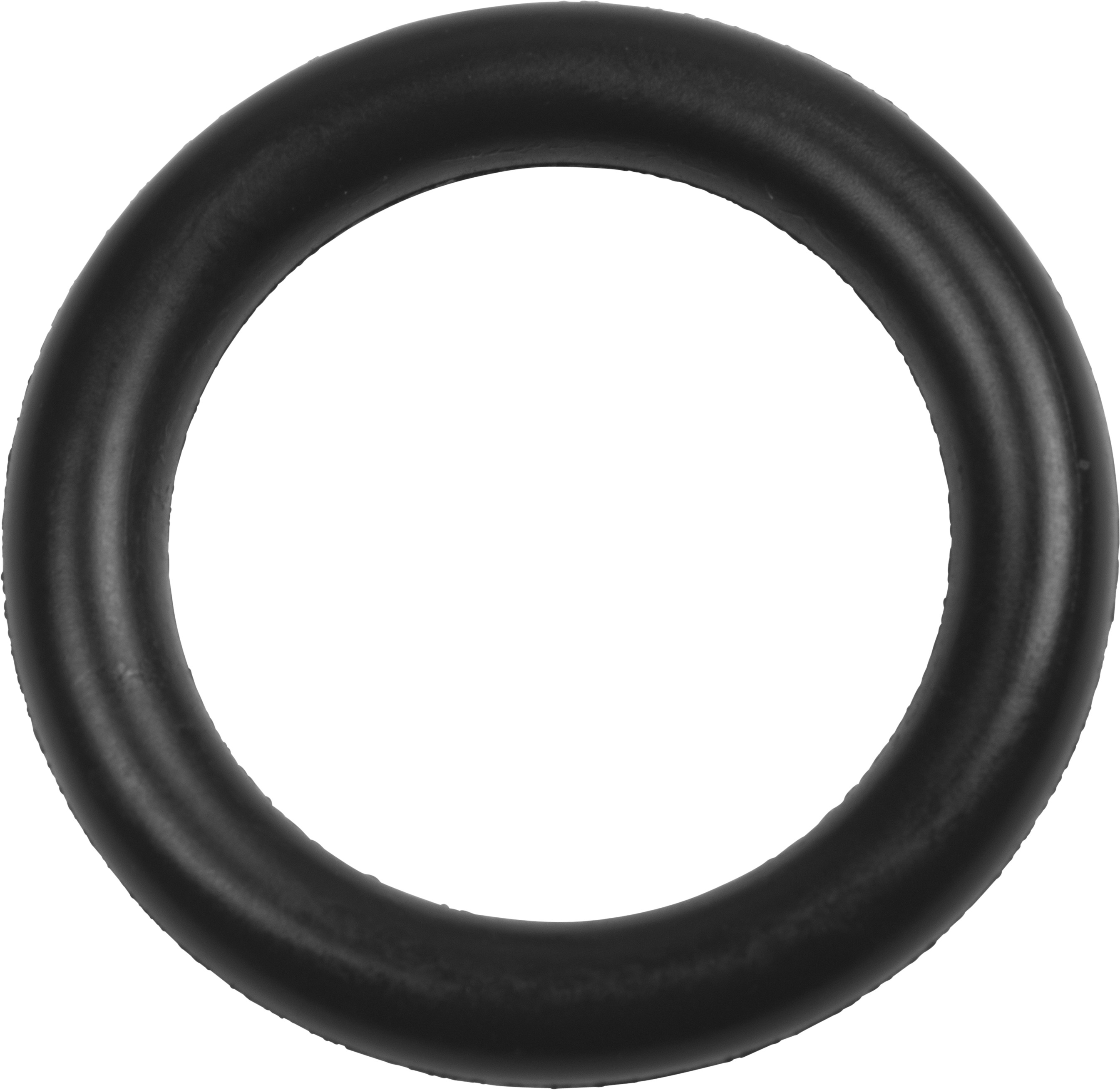 752525-pt1   O-RING DICHTUNG 25MM FÜR PE (10)