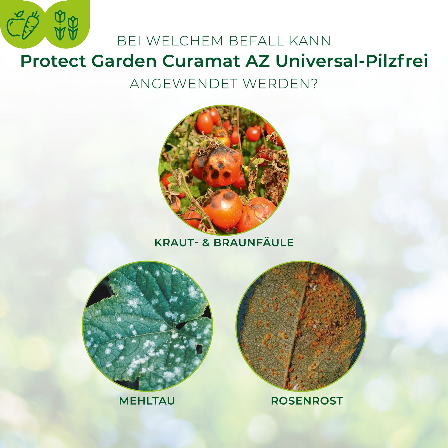 Protect Garden Curamat AZ Universal Pilzfrei, 1 l