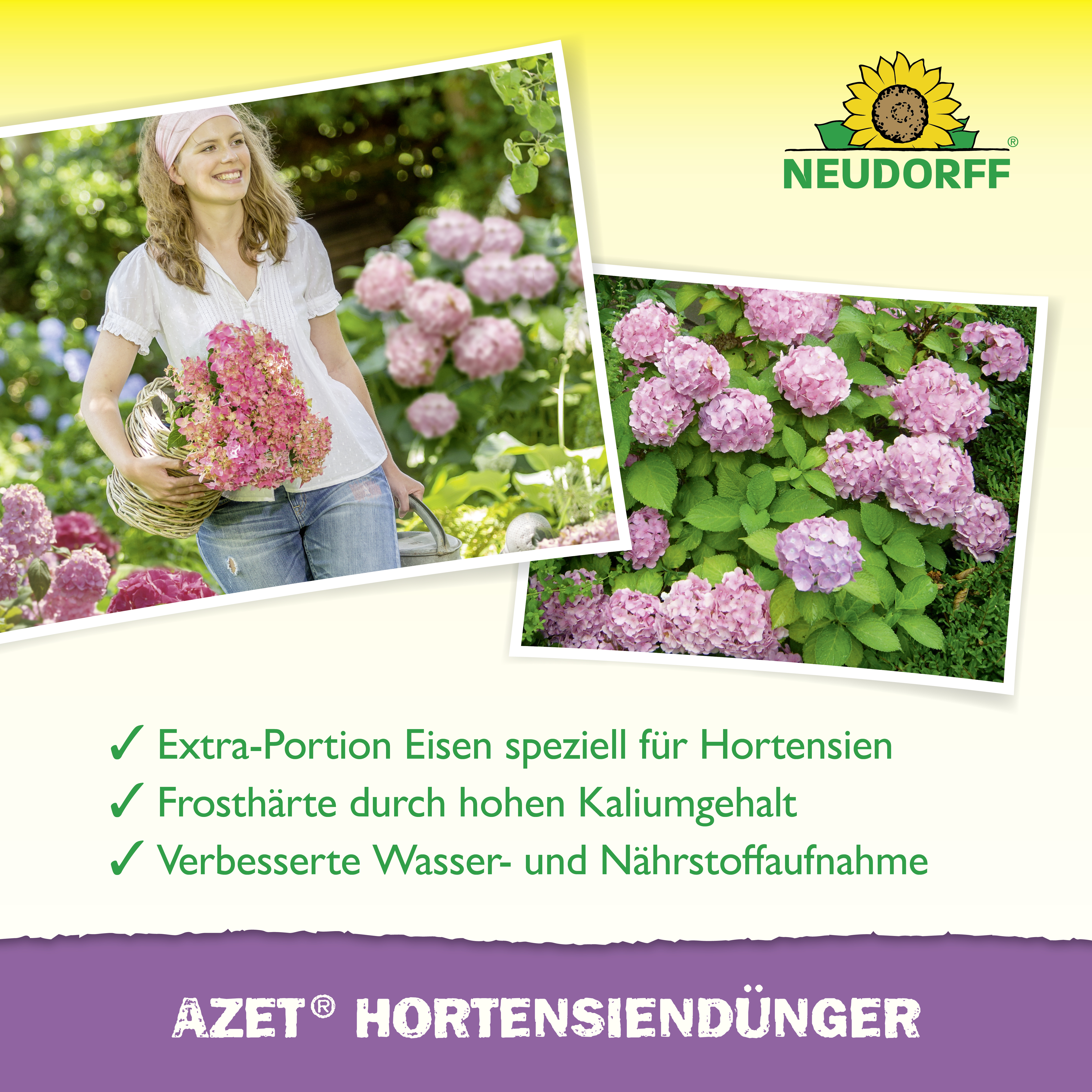 Neudorff Azet HortensienDünger, 1 l