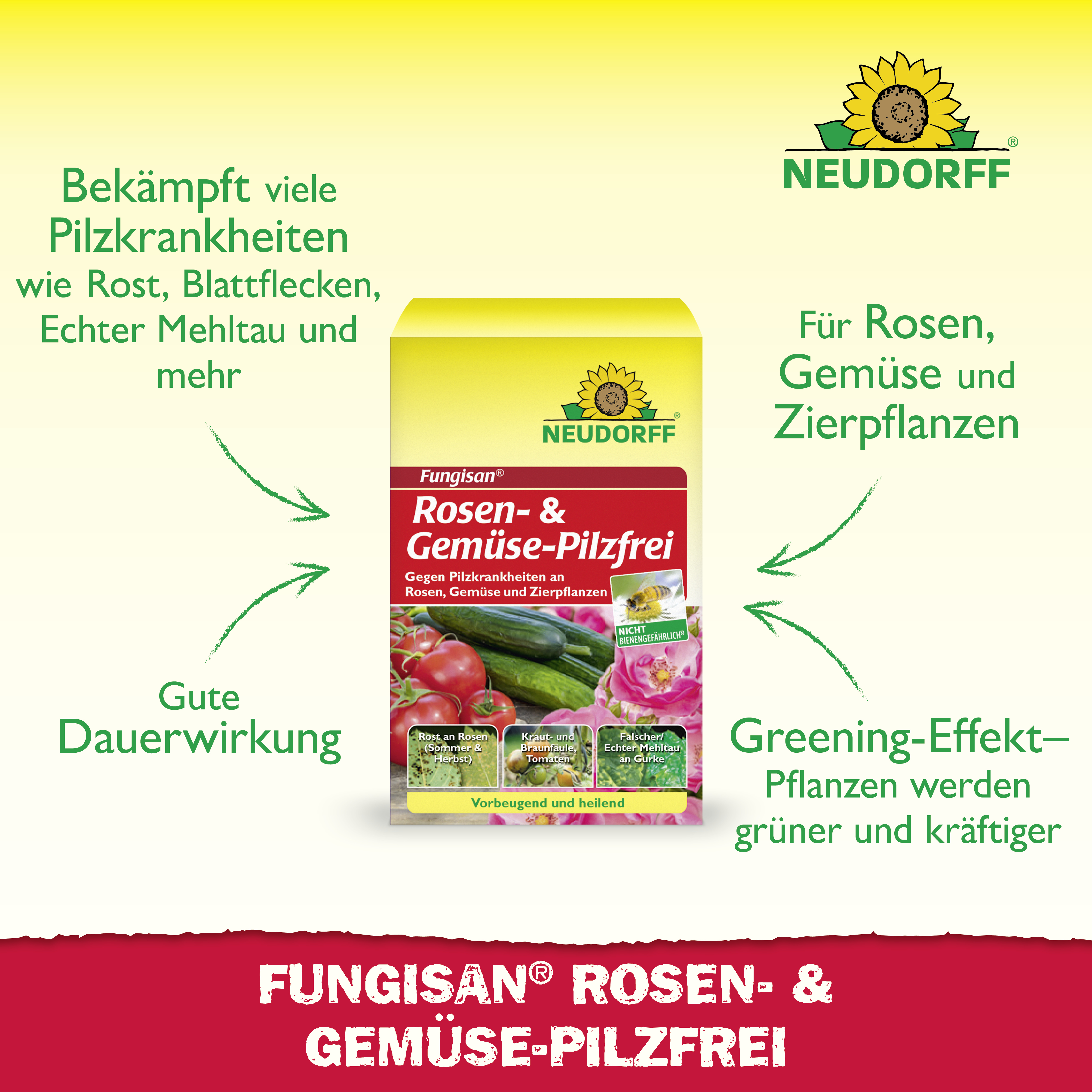 Neudorff Fungisan Rosen- und Gemüse-Pilzfrei, 16 ml