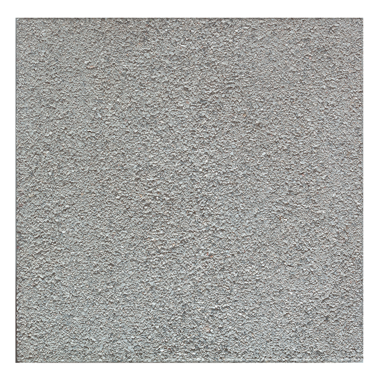 259715_Einzel2 Kann Platte Rom