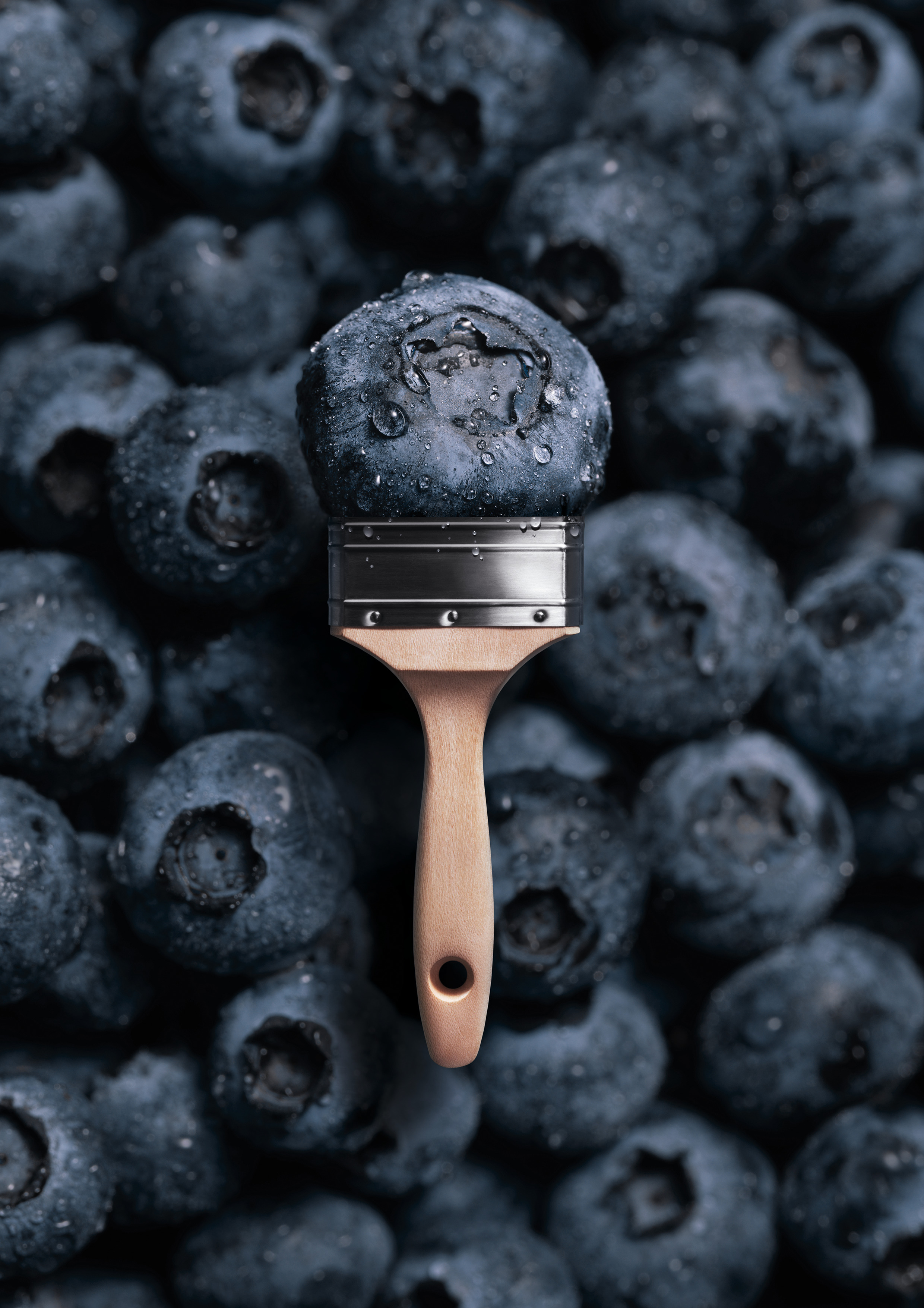 SW_TF-KV-Blueberry-A4 Schöner Wohnen Trendfarbe-Tester, blueberry matt