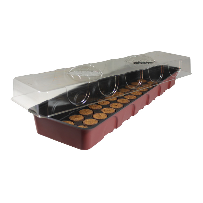 Windhager Fensterbank-Treibhaus, 54,5 x 16,5 x 11 cm Windhager Fensterbank-Treibhaus, 54,5 x 16,5 x 11 cm