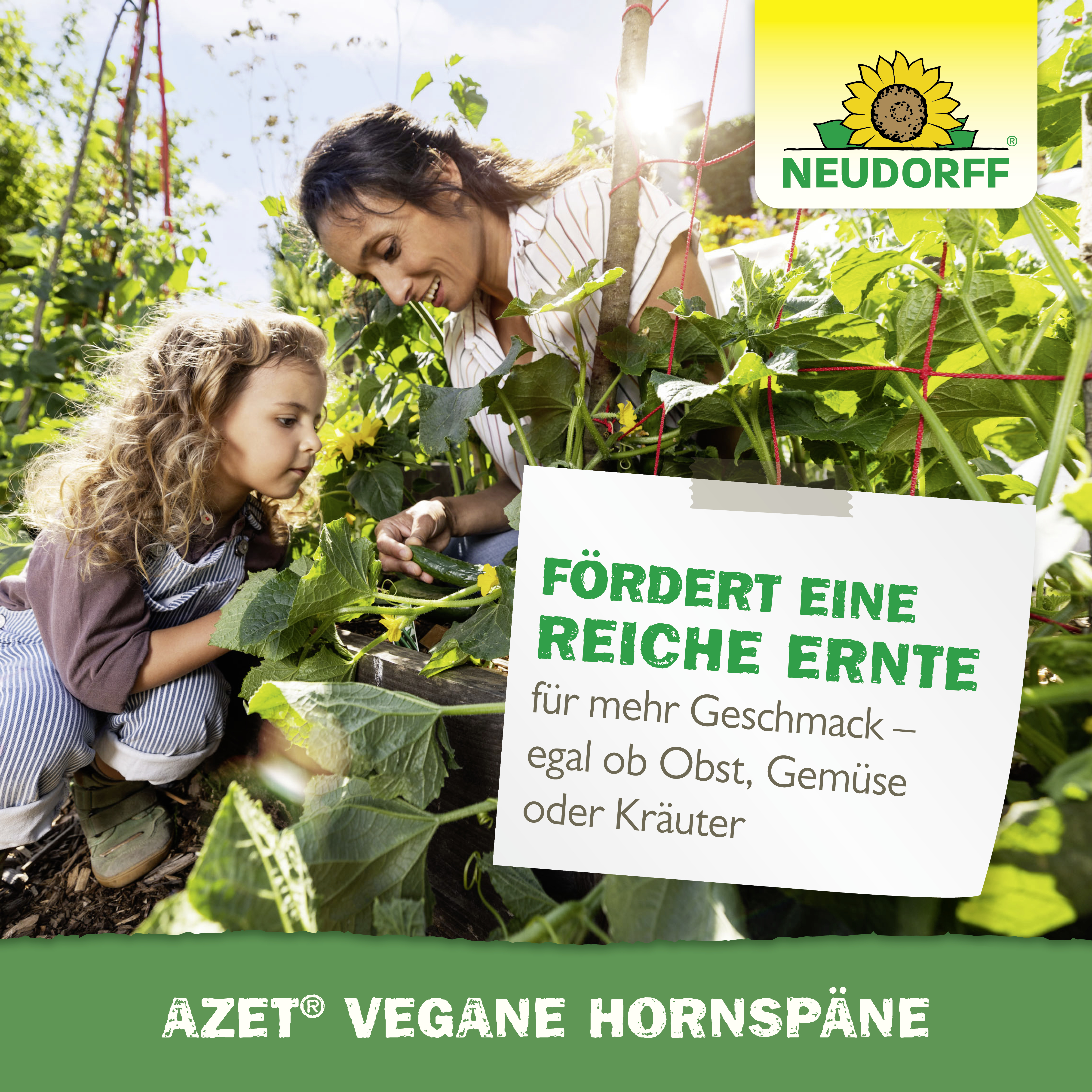 Neudorff Azet Vegane Hornspäne, 2,5 Kg
