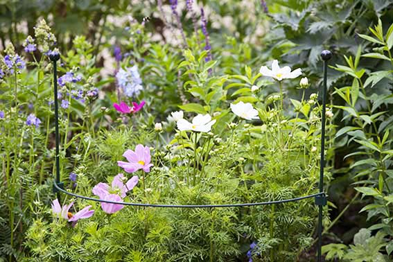 0702633092246_sfeer-1upHnJQ9tTuy1w Peacock Stützring Halbkreis, 54cm