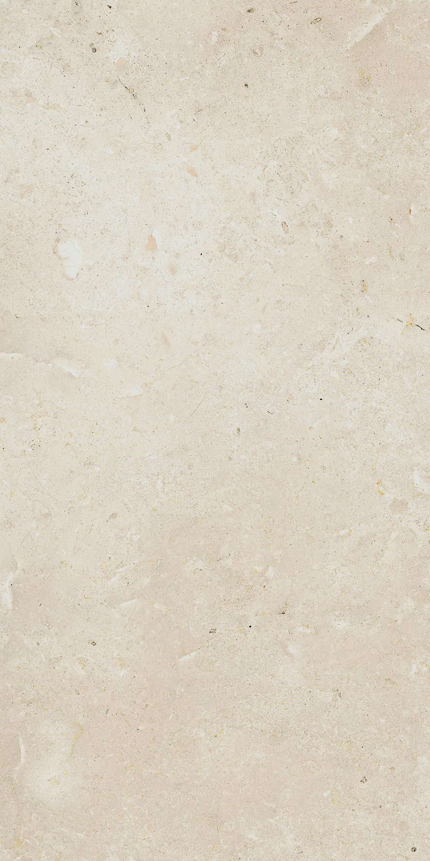 Lasselsberger Bodenfliese Lime beige, 30 x 60 cm