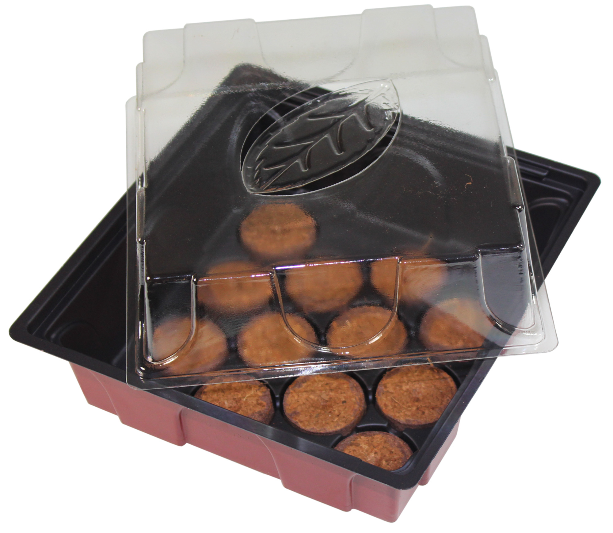 9003117068605zhkEWa95Z7wtg Fensterbank-Treibhaus