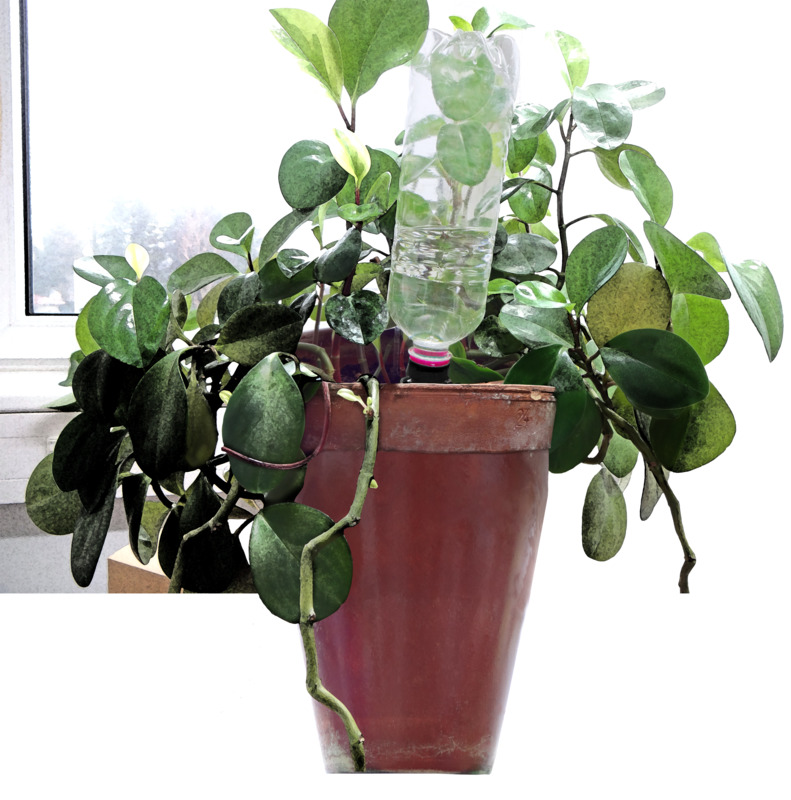 Windhager Flaschenadapter, 11 cm, 4 cm Windhager Flaschenadapter, 11 cm, 4 cm