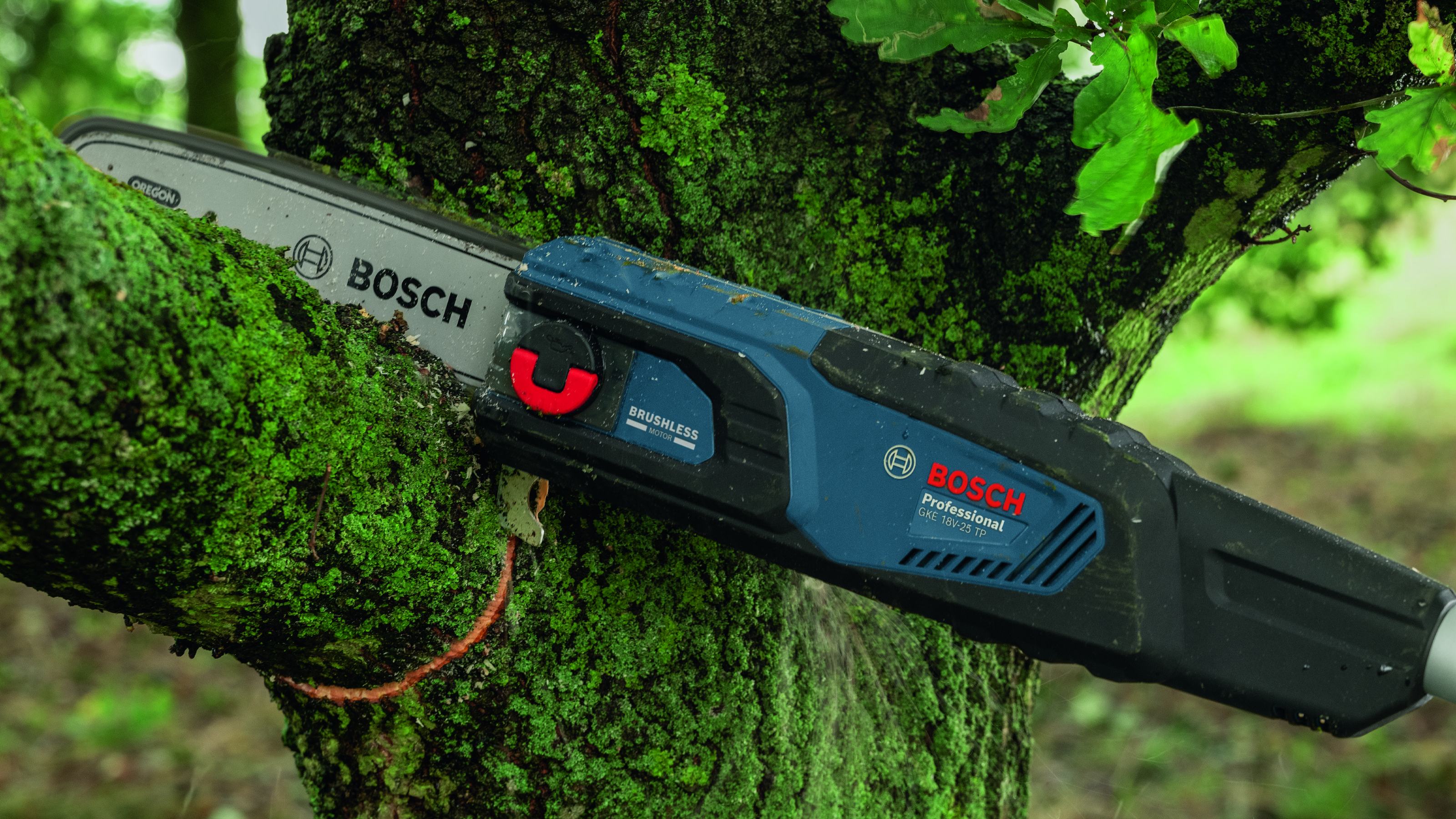 Bosch Akku-Teleskop-Hochentaster GKE 18V-25 TP