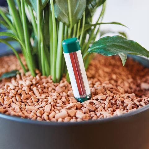 156945-6-pt06 GIEßANZEIGER GROß 2ST.