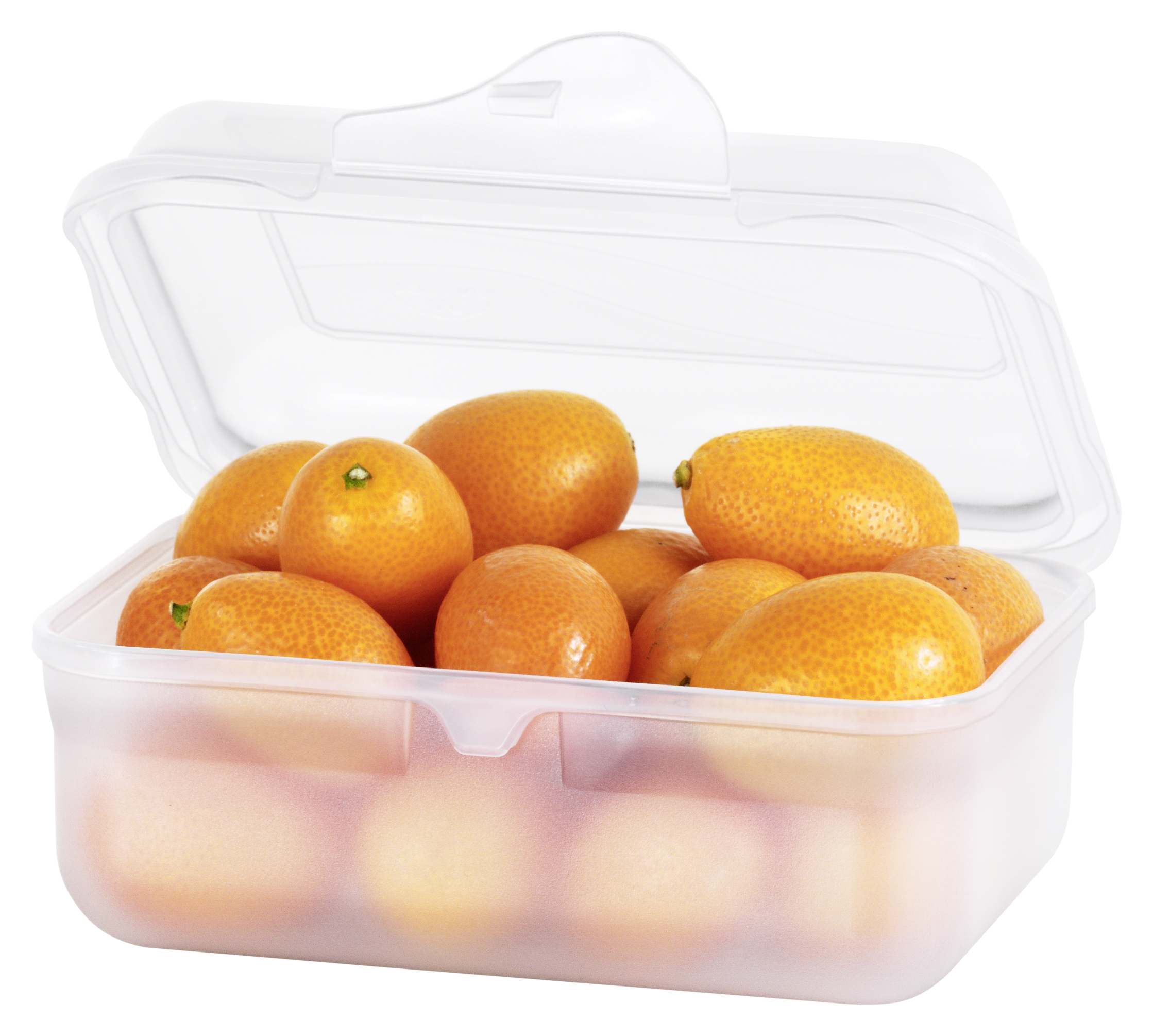 Rotho Funbox 0.4 l FUN