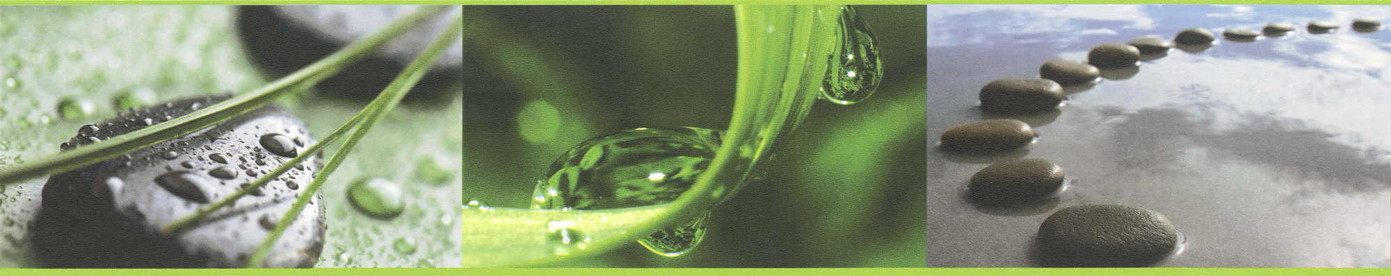 A.S. Création Bordüre zen-motive, grün grau – selbstklebende borte mit steinen und wassertropfen A.S. Création Bordüre zen-motive, grün grau – selbstklebende borte mit steinen und wassertropfen
