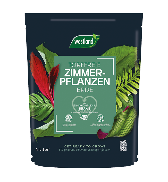 Westland Zimmerpflanzen Erde torffrei, 4 l