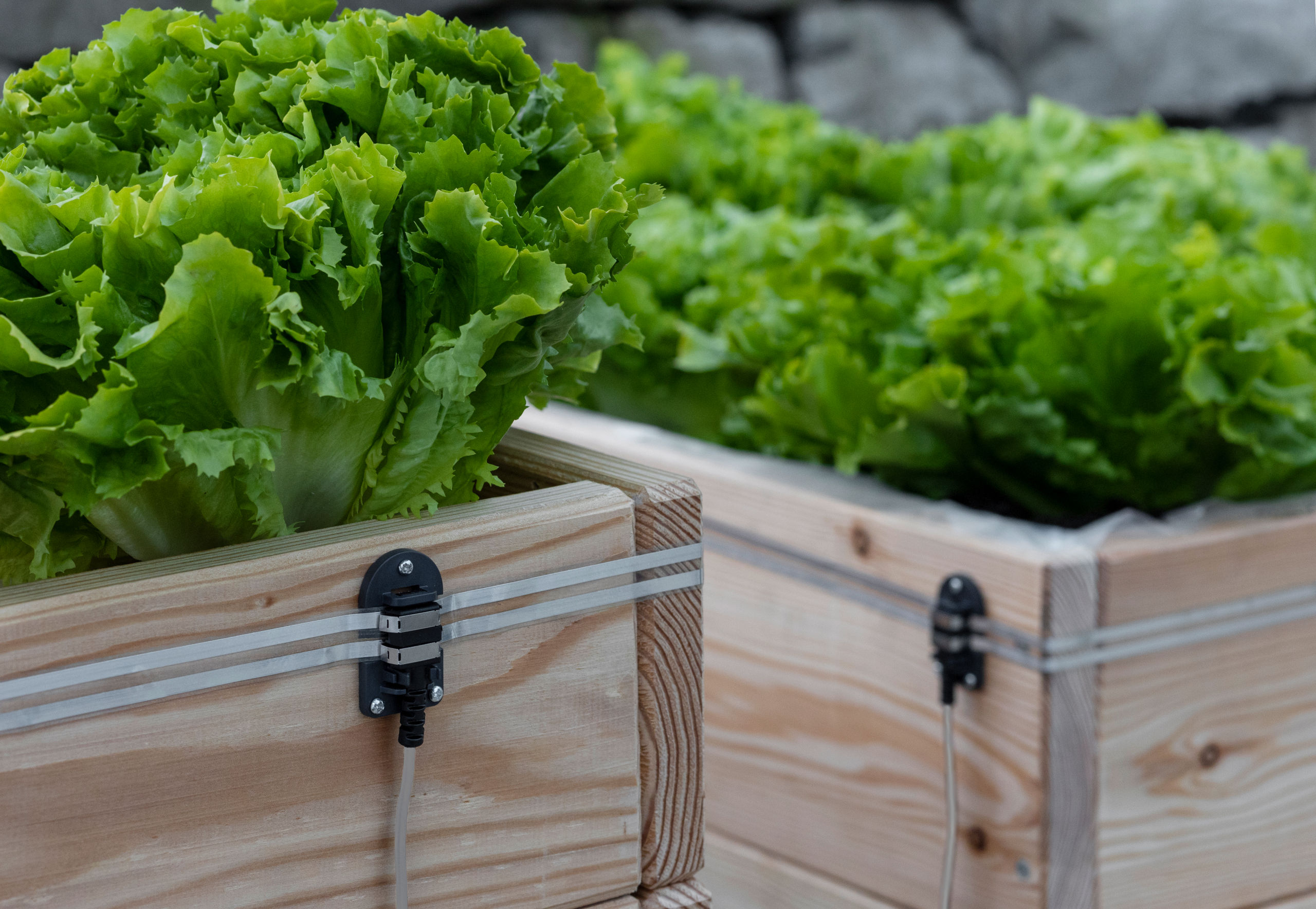 Kerbl SnailStop Beetverbinder 2,5 m elektrischer Schneckenzaun