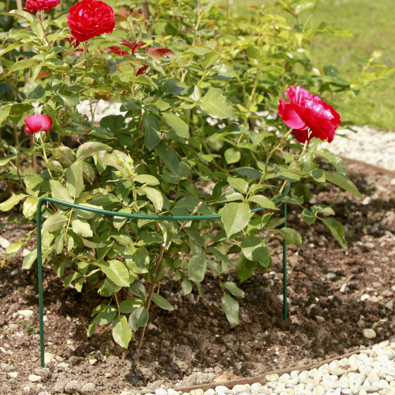 Windhager Staudenstütze Fix, 40 x 100 cm, grün