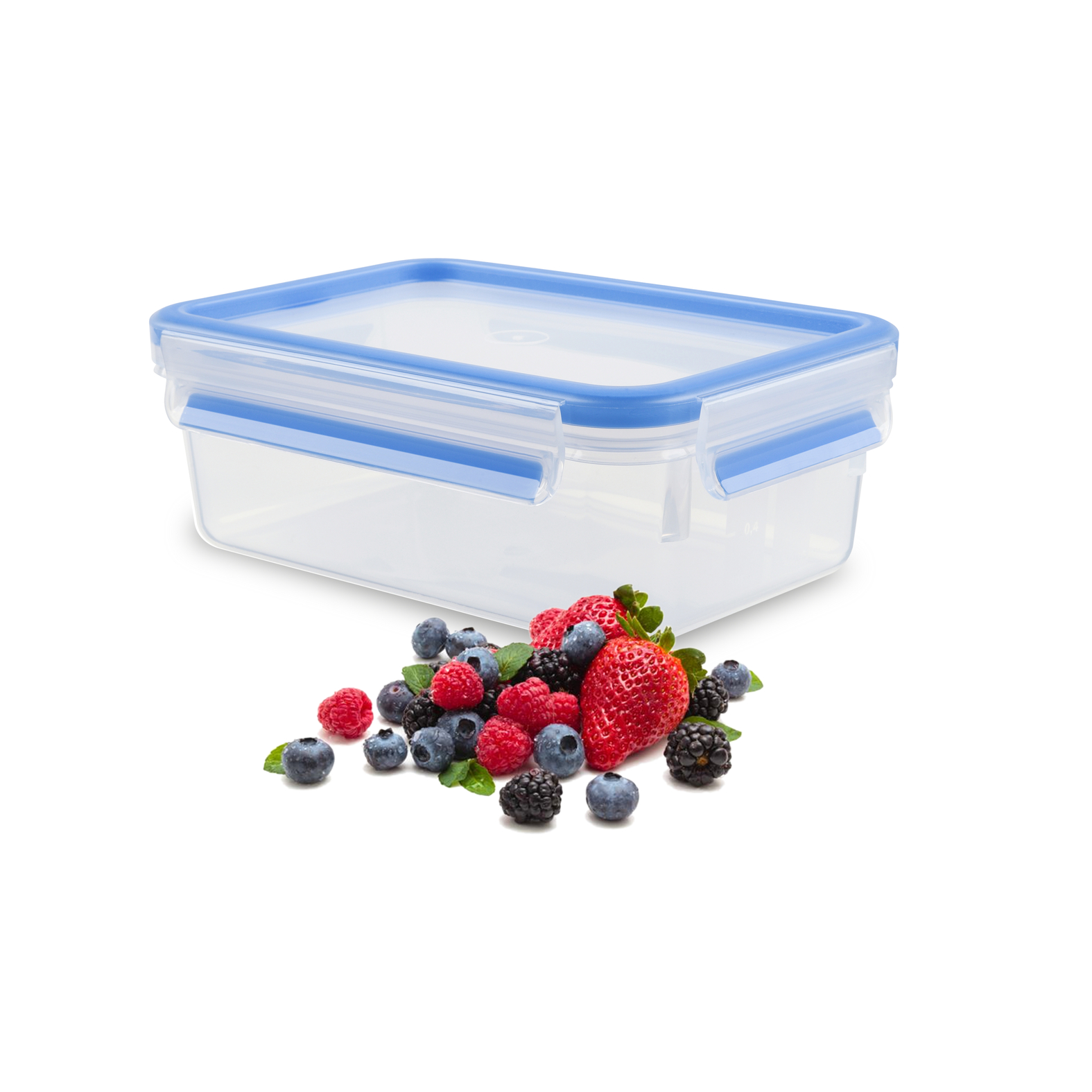 EMSA Clip & Close Frischhaltedose 1 L, rechteckig EMSA Clip & Close Frischhaltedose 1 L, rechteckig