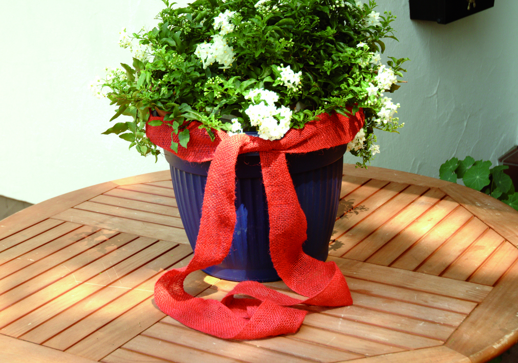 Floraworld Jutegewebeband, rot, 3 m x 6 cm Floraworld Jutegewebeband, rot, 3 m x 6 cm