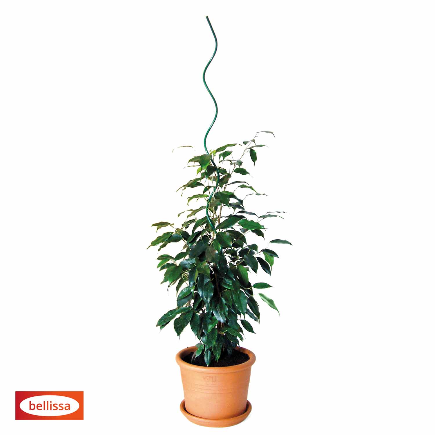 Bellissa Pflanzenspirale 110 G