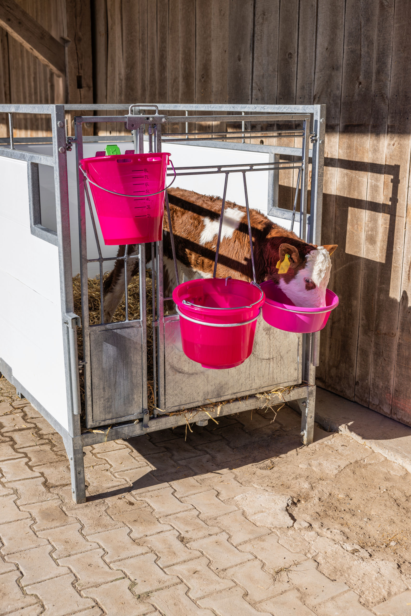 Kerbl Tränkeeimer rosa transparent mit Skala, ohne Zubehör