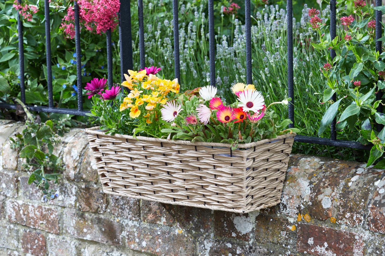 Smart Garden Bari Kunst-Rattan Pflanzgefäß - Sand 48 cm