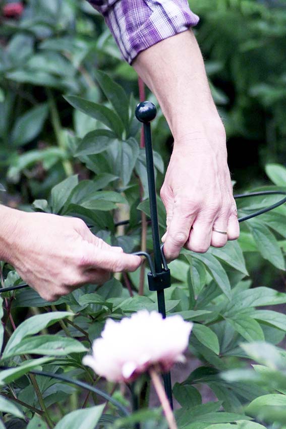 0702633092178_sfeer-2hnQRX6JKcyPeQ Peacock Stützring Kreisförmig, 15cm